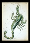 Scorpio Vintage Zodiac művészeti nyomtat