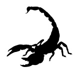Silhueta de escorpião