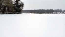 Snow Covered Field 2