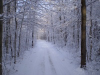 Снежный путь