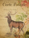 Ciervo, postal del vintage de los ciervo