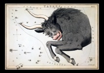 Impresión del arte del zodiaco del tauro