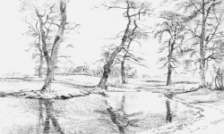 Desenho de paisagem de árvore