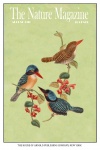 Capa de revista de pássaro vintage