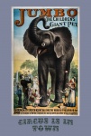 Jumbo do cartaz do circo do vintage