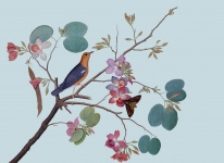 Jardín floral del pájaro del vintage