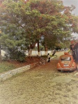 Vintage image ,beetle car ,image