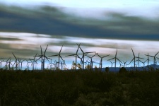 Wind Turbines Landscape