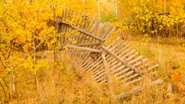 Holzzaun im Herbst