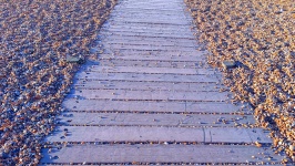 Wooden path across a pebble beach