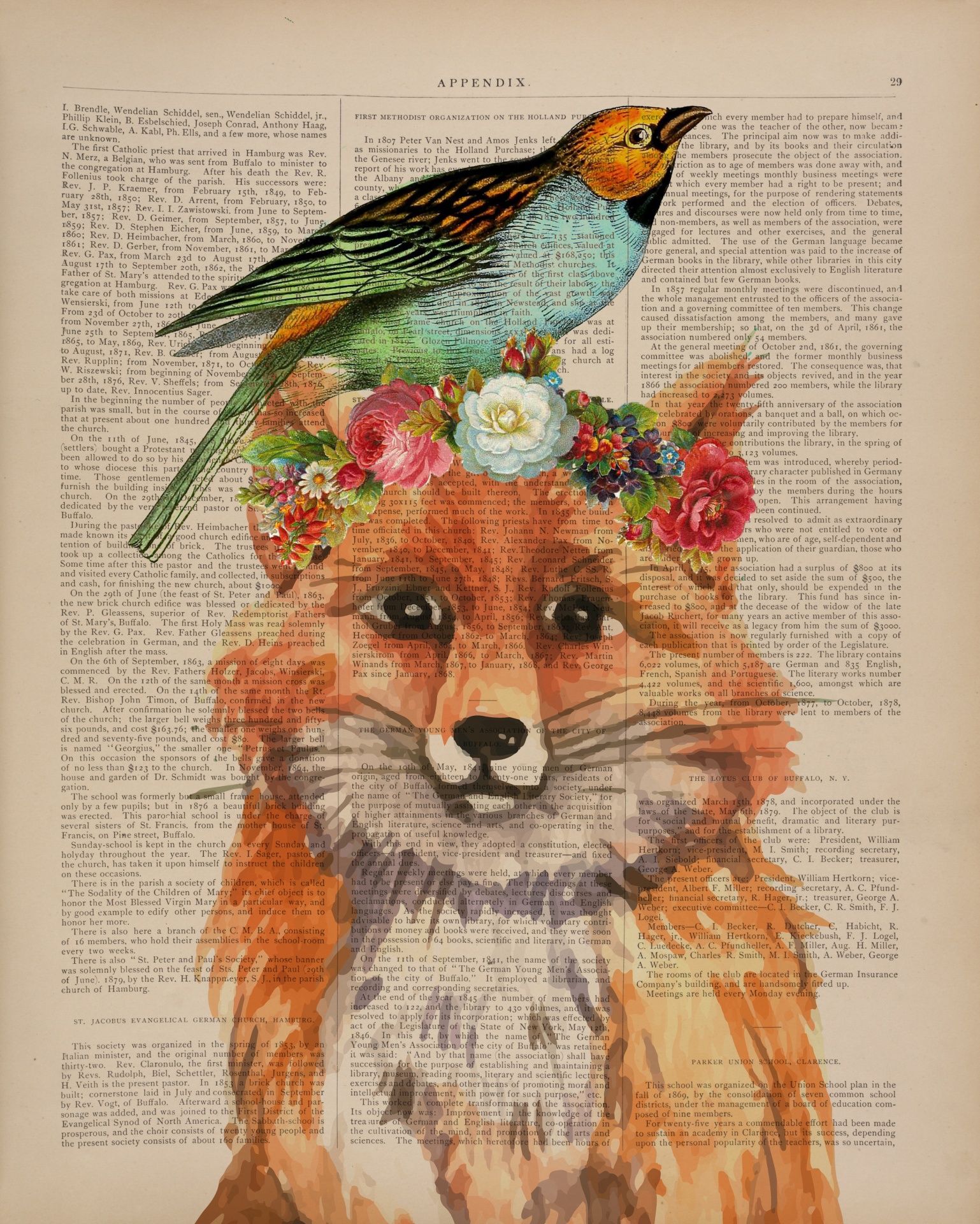 antiquarian-book-fox-print-free-stock-photo-public-domain-pictures