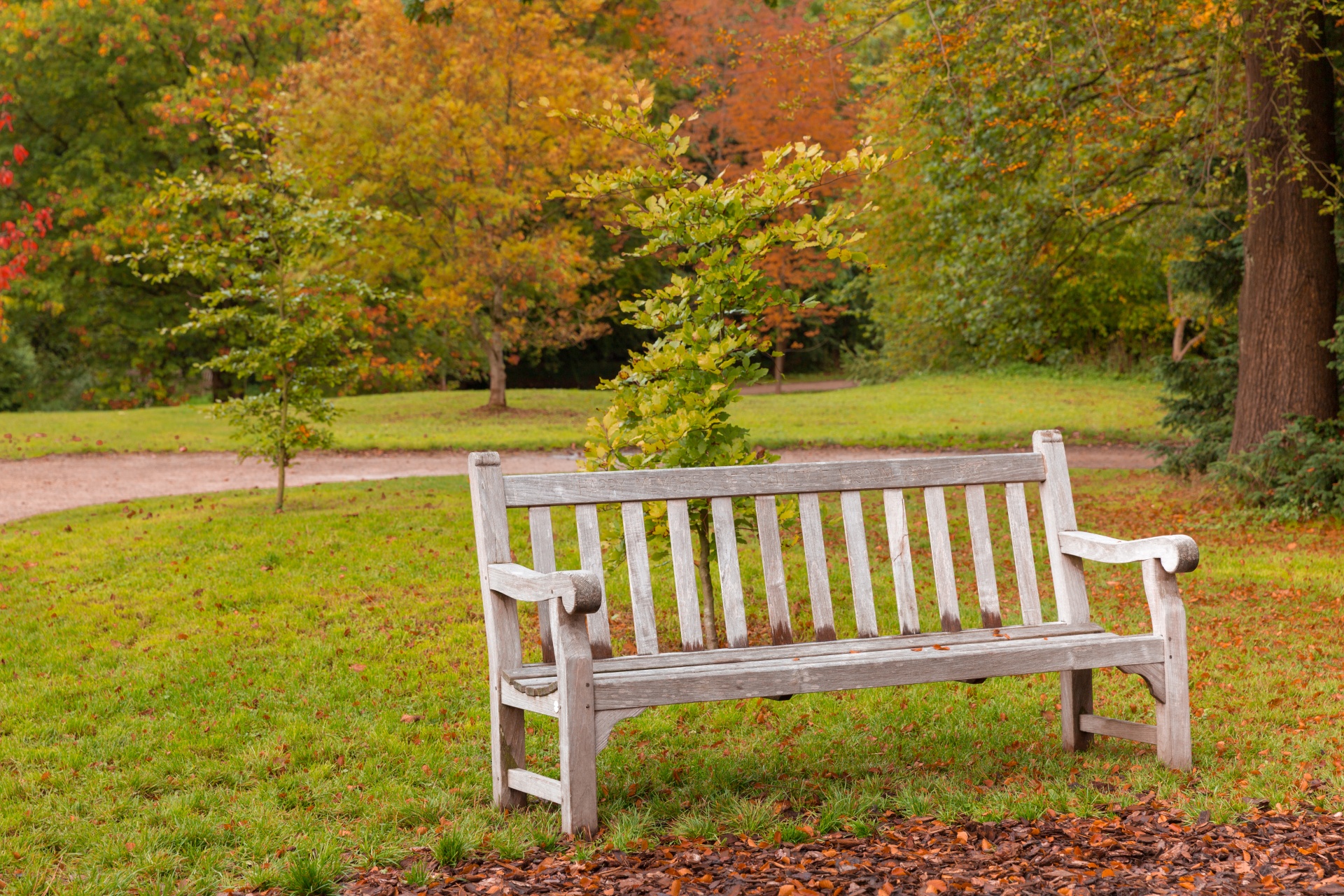 Un banc dans le parc Bench-in-the-park-in-autumn-1539614051WOg