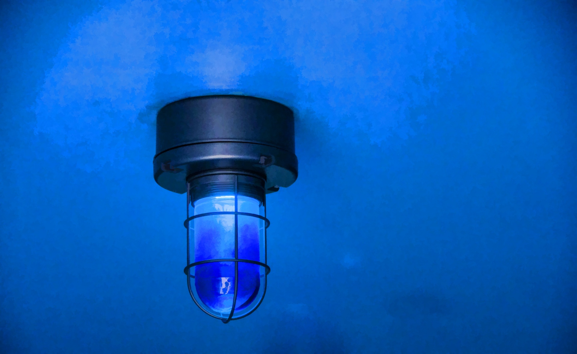 caged-light-bulb-free-stock-photo-public-domain-pictures