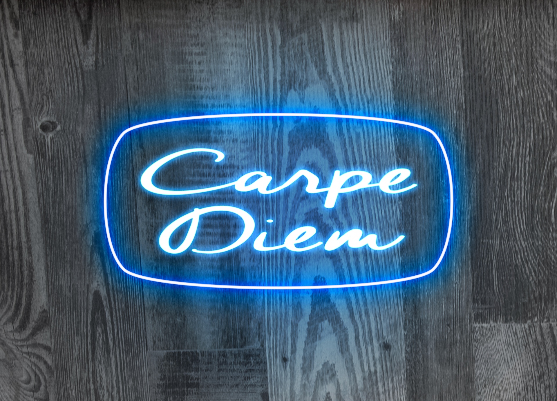 Carpe Diem Free Stock Photo - Public Domain Pictures