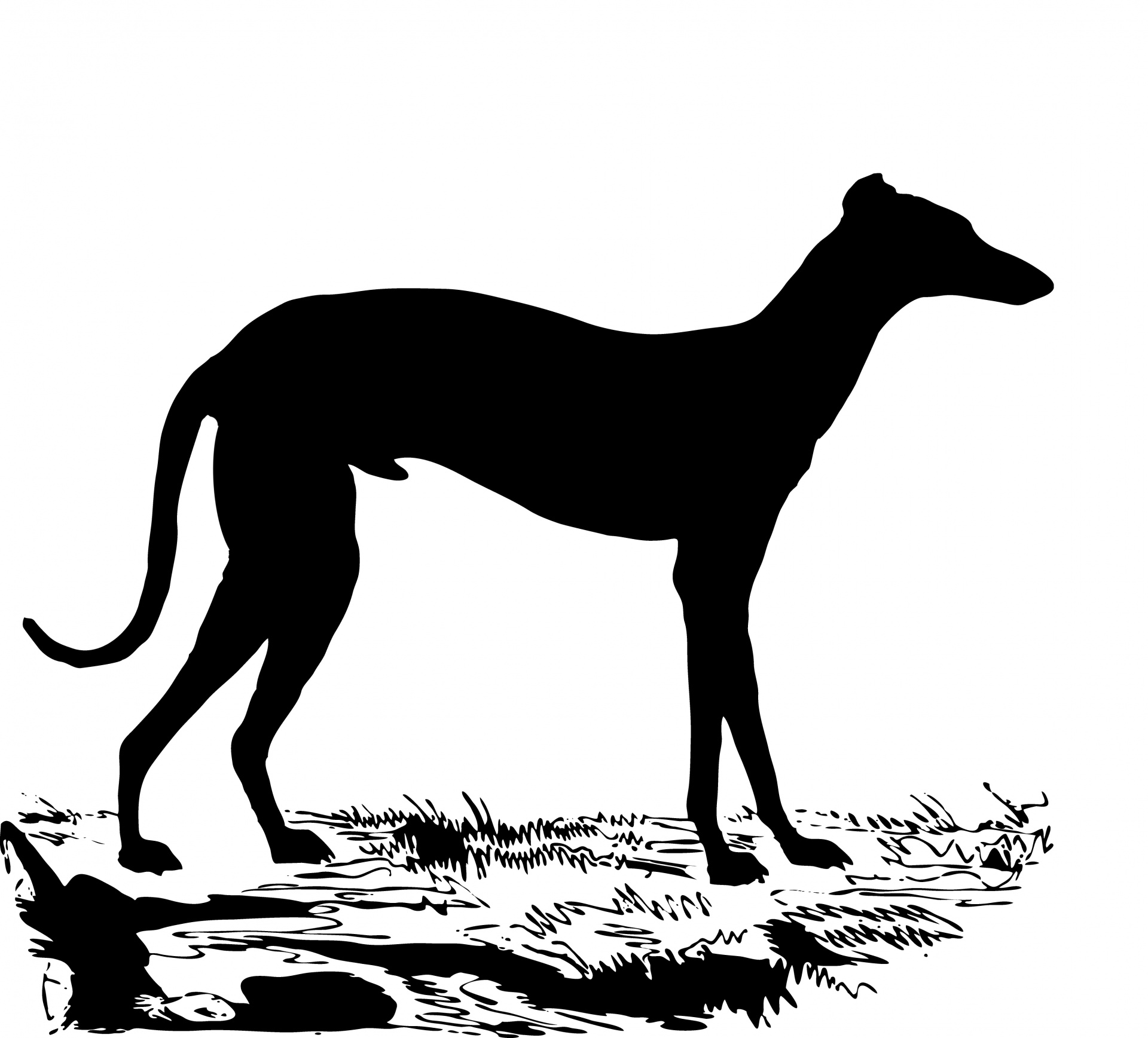 犬 グレイハウンドシルエット 無料画像 Public Domain Pictures