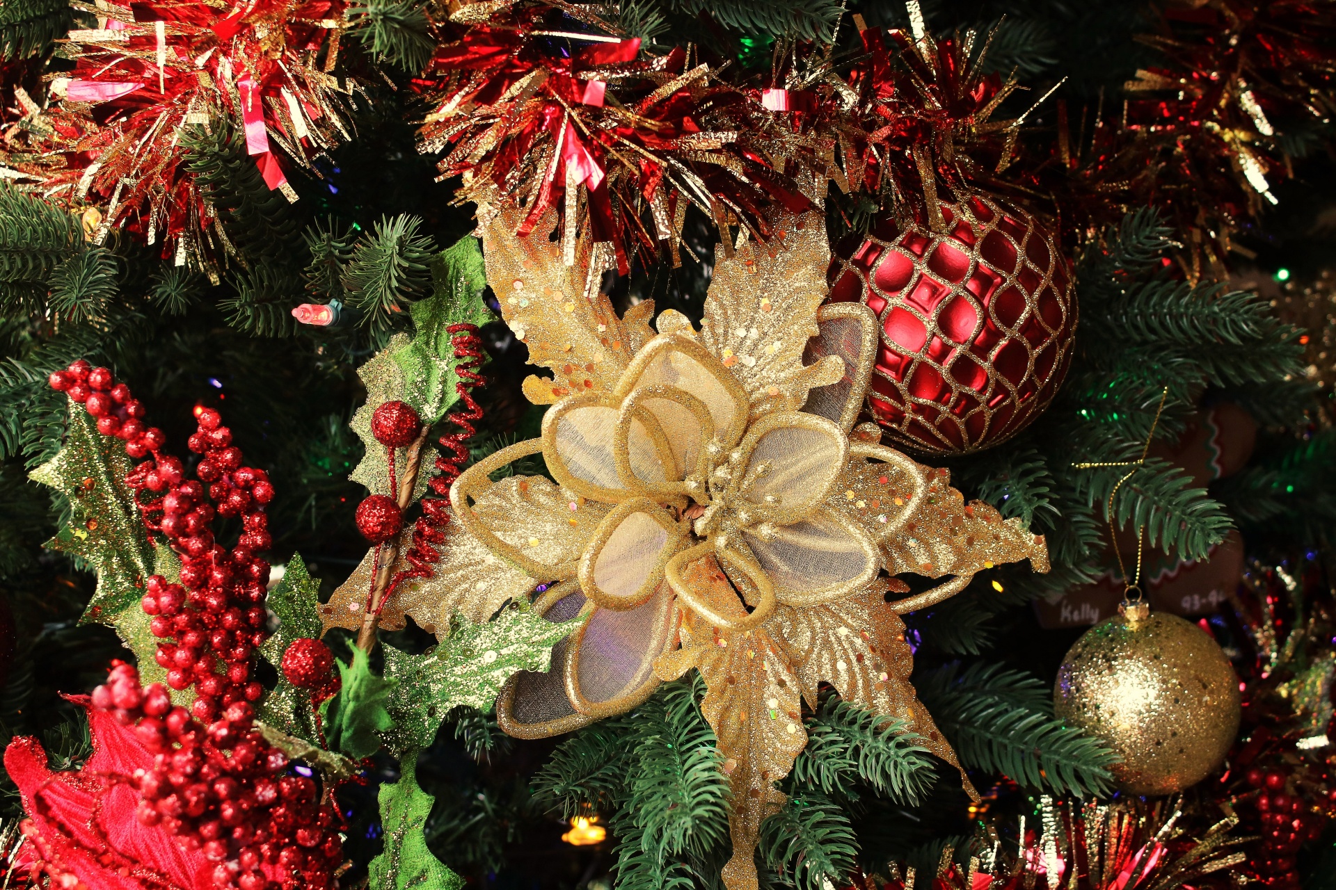 Decorazione Stella Di Natale.Decorazione Di Natale Oro Stella Di Nata Immagine Gratis Public Domain Pictures