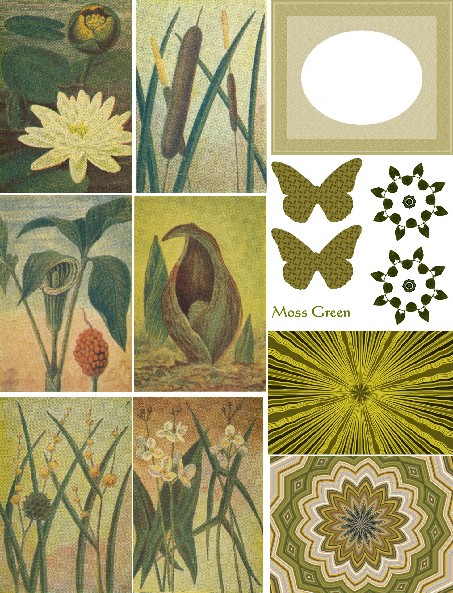 Moss Green collage list