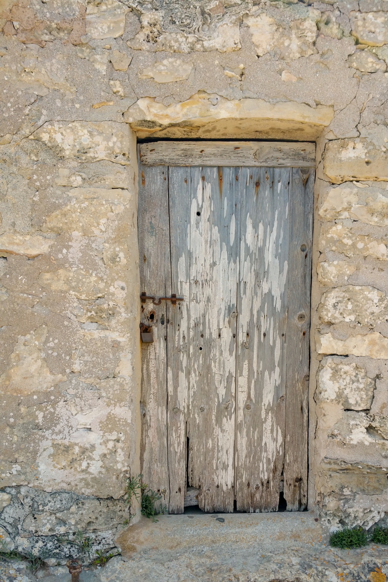 Old Wooden Door Free Stock Photo - Public Domain Pictures