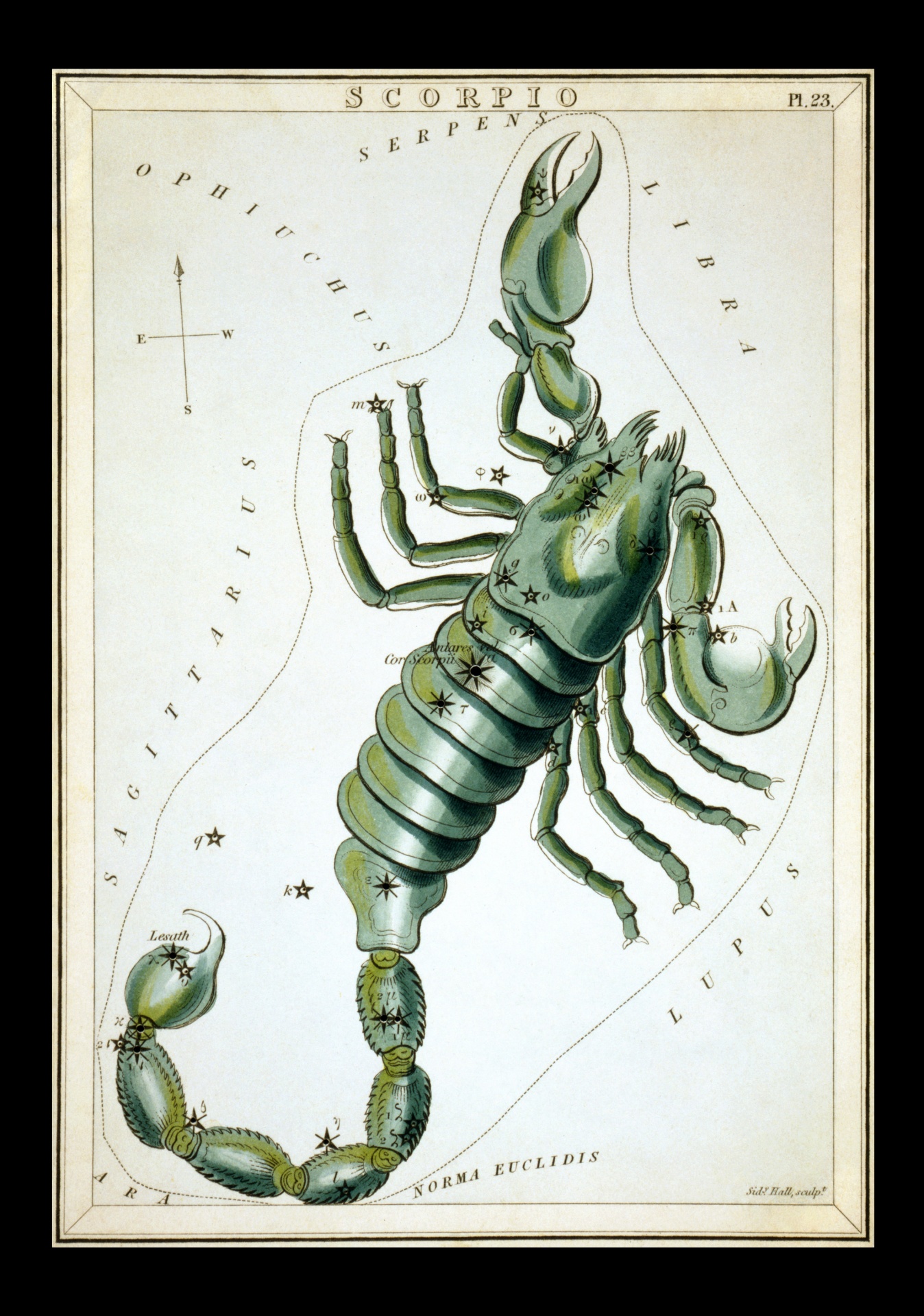 Scorpio Vintage Zodiac Umělecká reproduk