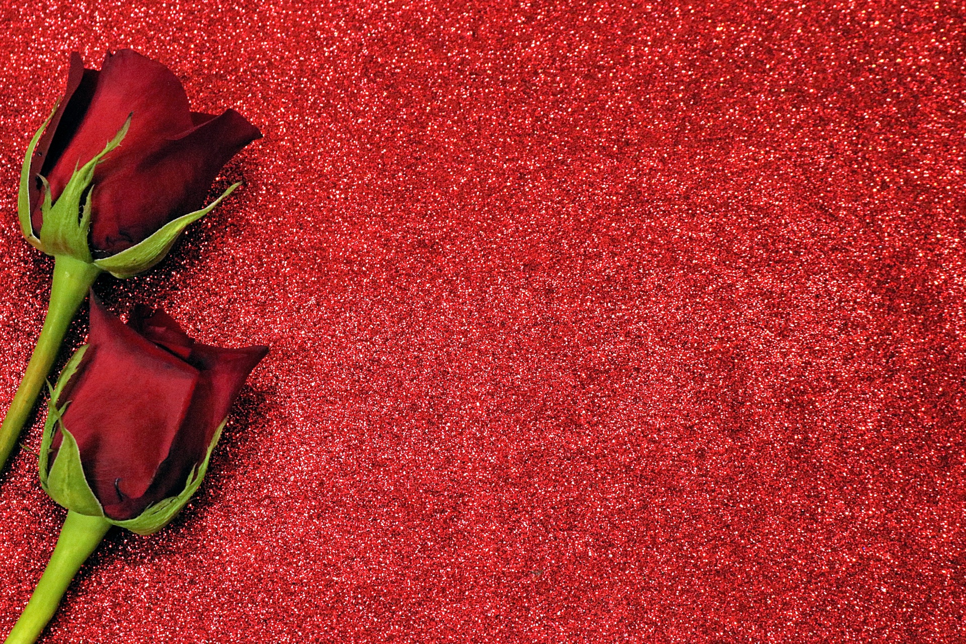 Two Red Roses On Red Glitter