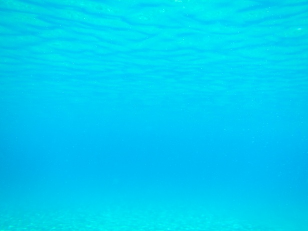 Подводный морской фон Бесплатная фотография - Public Domain Pictures