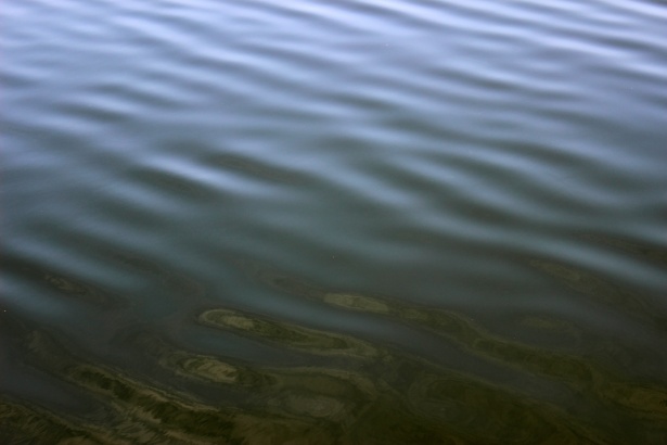 Текстура воды нежная рябь Бесплатная фотография - Public Domain Pictures