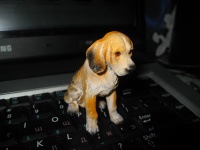 Estatuilla de perro en el teclado.