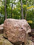 Duża skała w lesie