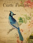 Postal floral del vintage del pájaro