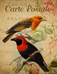 Cartão floral do vintage do pássaro