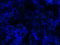 Blauwe en zwarte textuur achtergrond