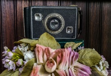 Box Camera and Flowers