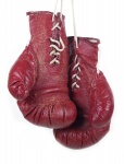Boxnings handskar