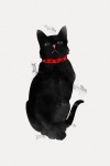 Pintura a aguarela preta do gato