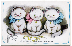 Katzen-Vintage Illustration