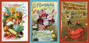 Catálogos de semillas vintage