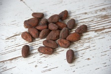 Semi di cacao