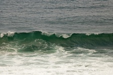 Cresting wave in the ocean