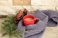 Cup Wrapped in Winter Scarf 3