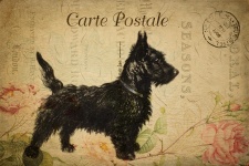 Carte postale florale vintage de chien