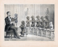 Illustration Vintage de chiens
