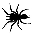 Desenho de aranha em branco