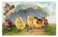 Velikonoční Vintage Chicks Card