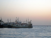 Fish trawlers at anchor