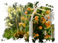 Flowering arbor