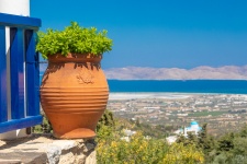Blomkruka i Grekland