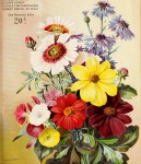 Blumen-Vintage Blumenanzeige