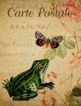 Postal floral del vintage de la rana