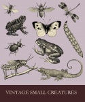 Frog Vintage Small Animals