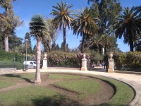 Rond-point avec palmiers et plantes